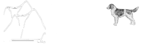 Cyclone Hills Munsterlanders